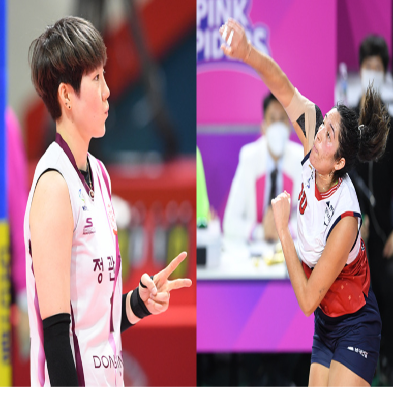  여자배구 인삼공사 현대건설 12월17일 경기예상(정호영 옐레나 이소영 양효진 야스민 김연견)