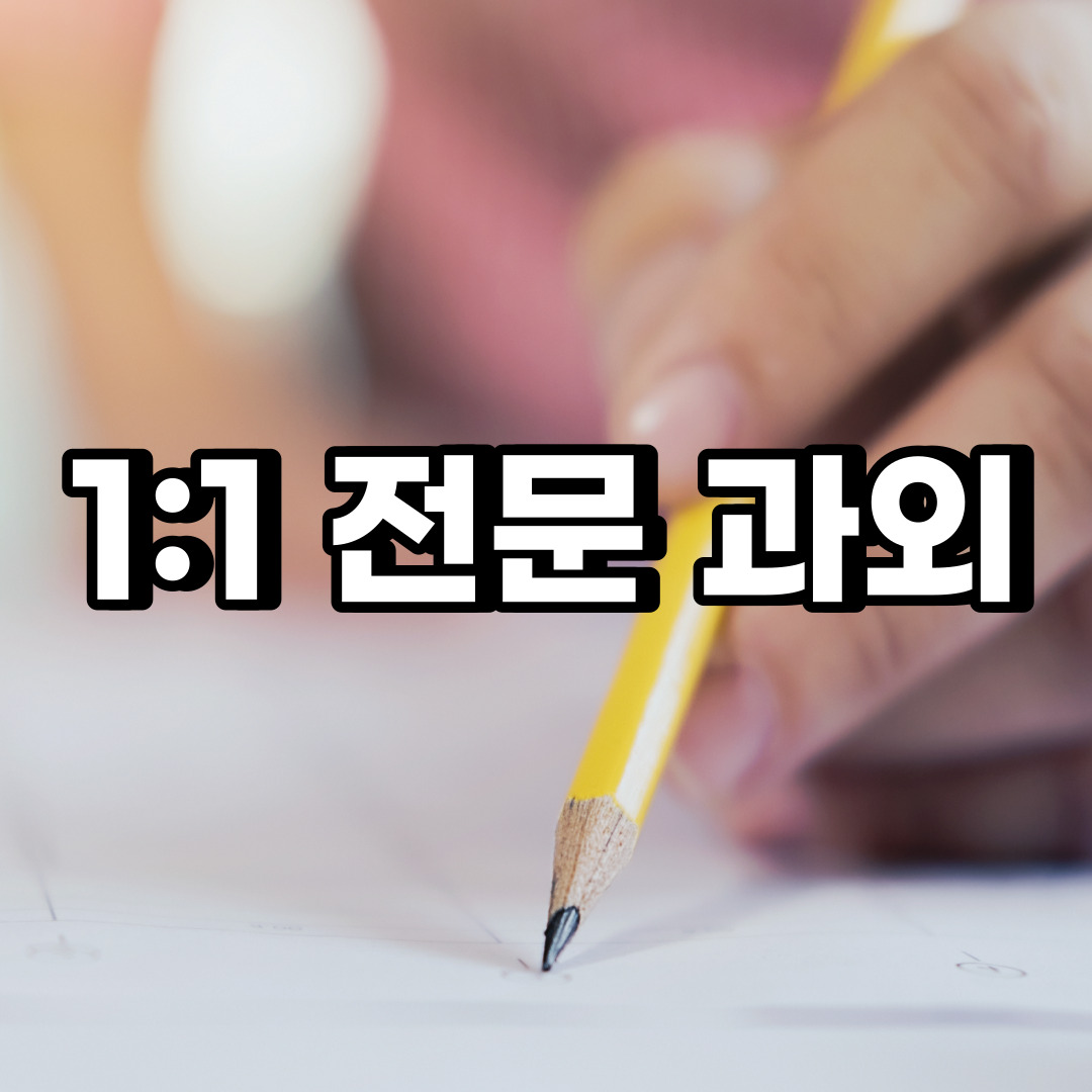 성북구 초등 영어과외 상월곡동 장위동 중등 고등 국어 수학과외