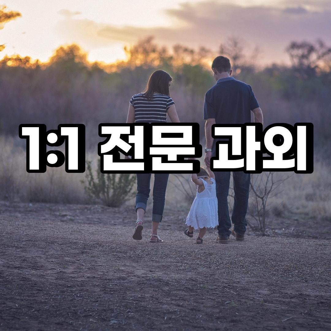  안성 초등 영어과외 사곡동 도기동 중등 고등 국어 수학과외 검정고시