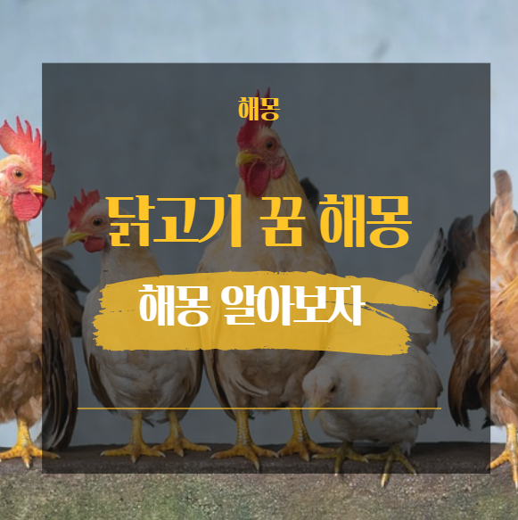  닭고기 꿈 치킨 꿈 해몽 모음 24가지[ 치킨 굽는 생으로 튀겨 선물 ]