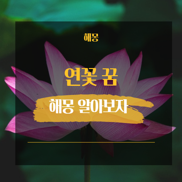 연꽃 꿈 해몽 대표적인 16가지 모음