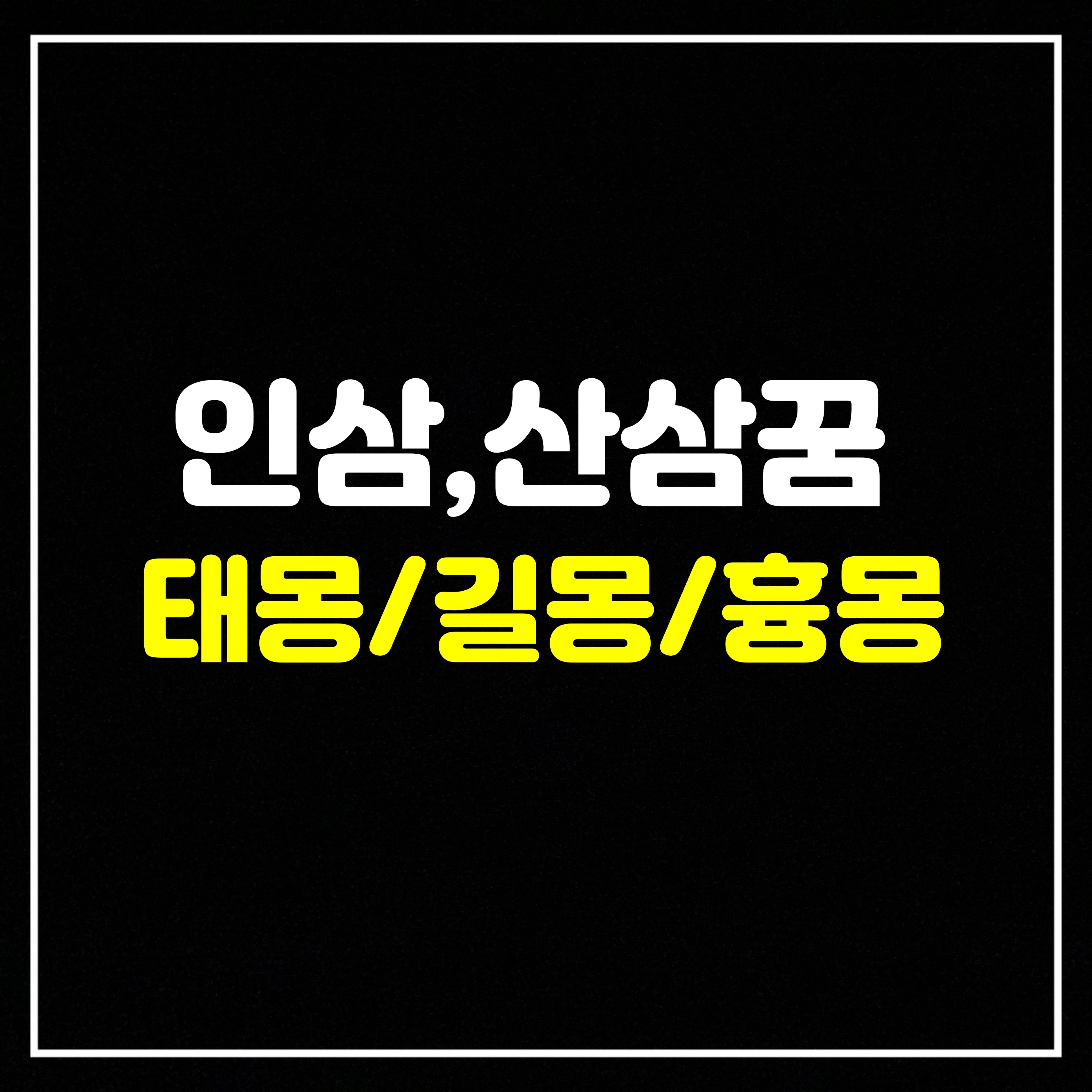  [약초꿈] 삼(인삼,산삼,홍삼)꿈은 어떤 의미일까? 태몽/길몽/흉몽 총정리