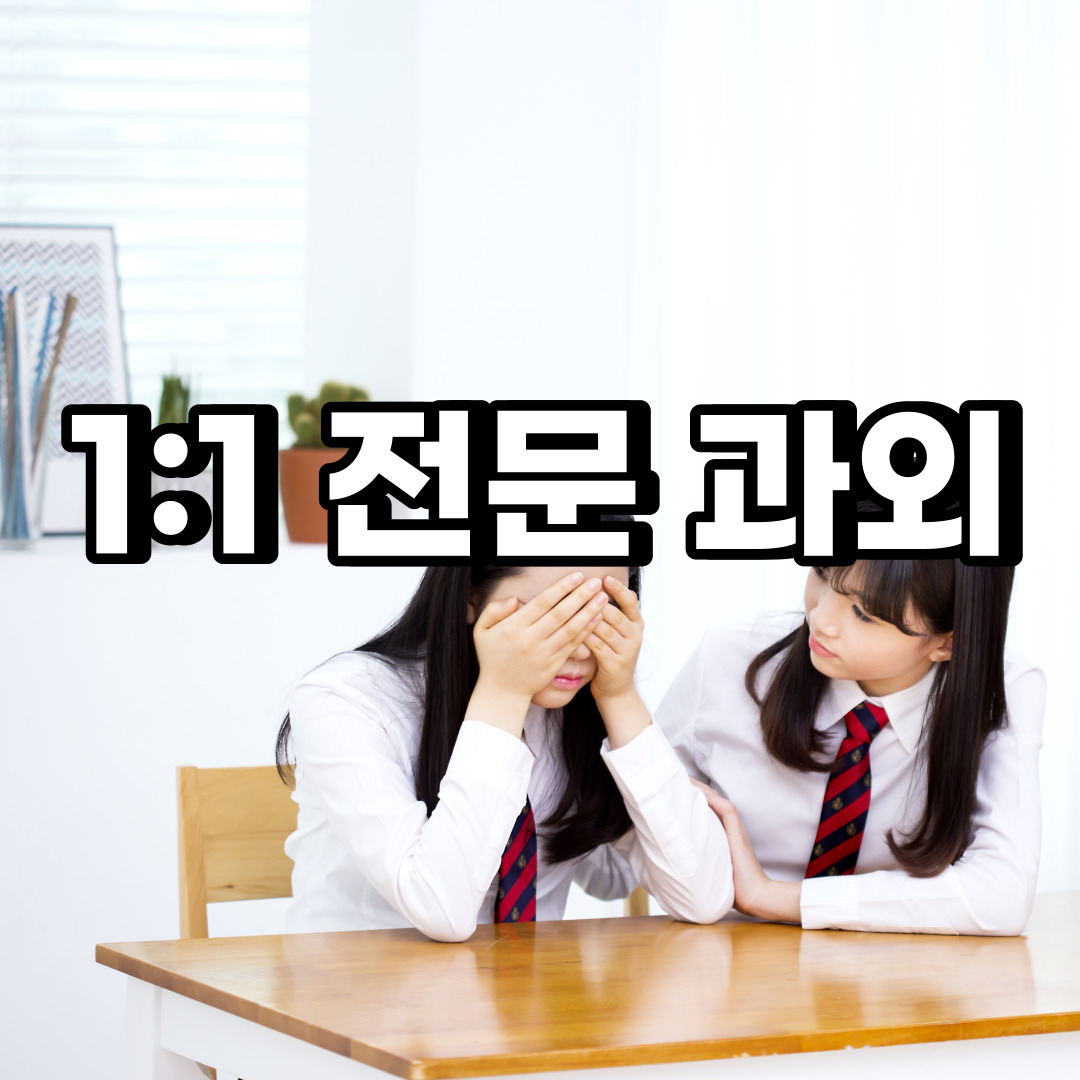  하남 초등 영어과외 위례동 중등 고등 국어 수학과외 검정고시