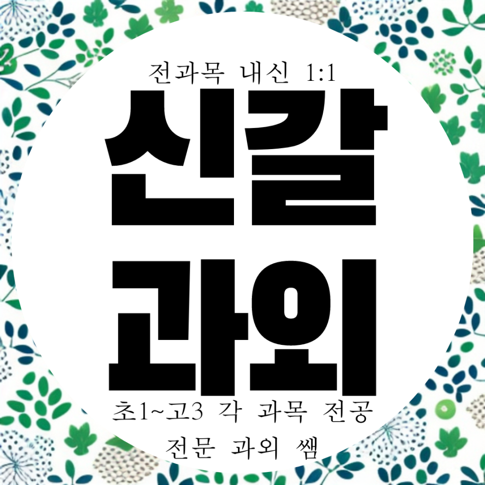  기흥고 내신 전문 전과목 방문 수학과외 고등 영어과외 구갈 신갈