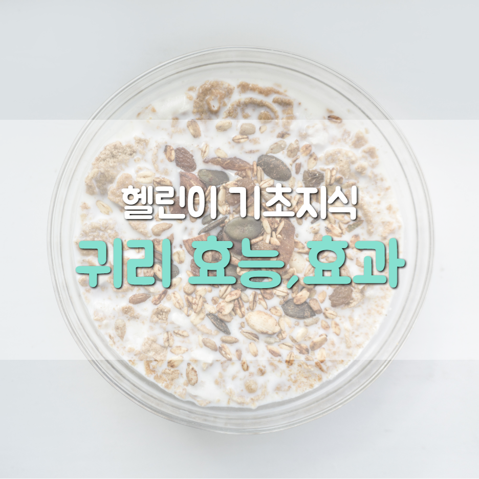  100% 귀리밥 먹는 이유, 귀리 효능, 효과