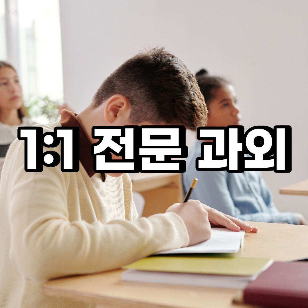 종로구 초등 영어과외 당주동 내수동  중학생 중등 고등 국어 수학과외