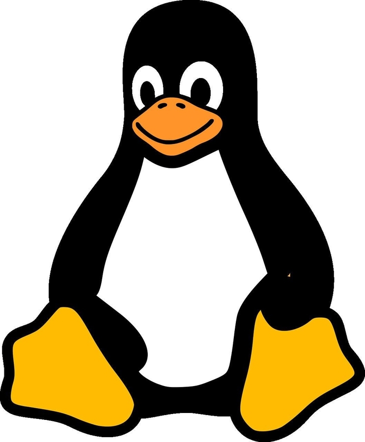  [Linux]arrayとは