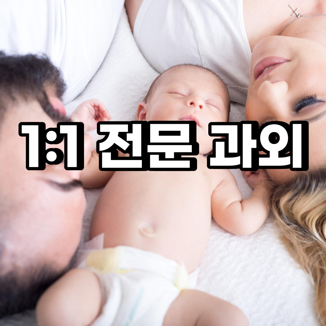  안성 초등 영어과외 계동 옥산동 중등 고등 국어 수학과외 검정고시