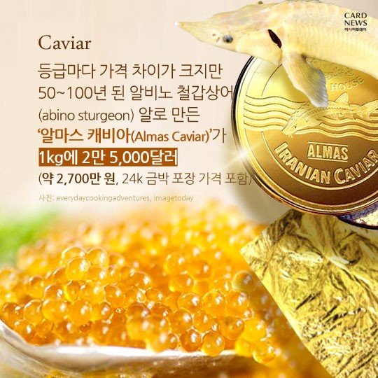  세상에서 제일 비싸다는 음식 캐비어. 얼마에 살수있나?