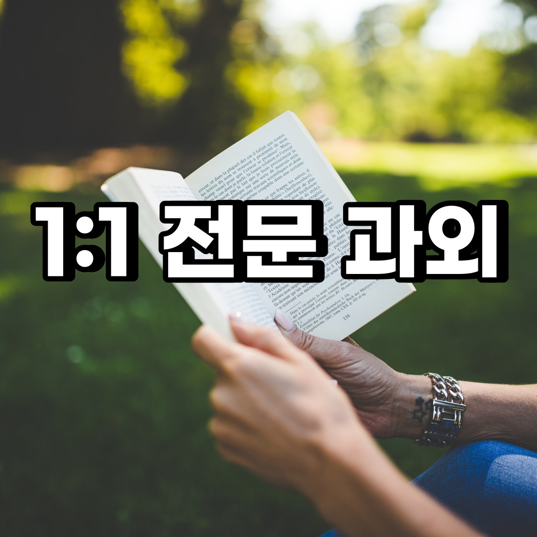  덕양구 초등 영어과외 능곡동 대덕동 중등 고등 국어 수학과외 검정고시