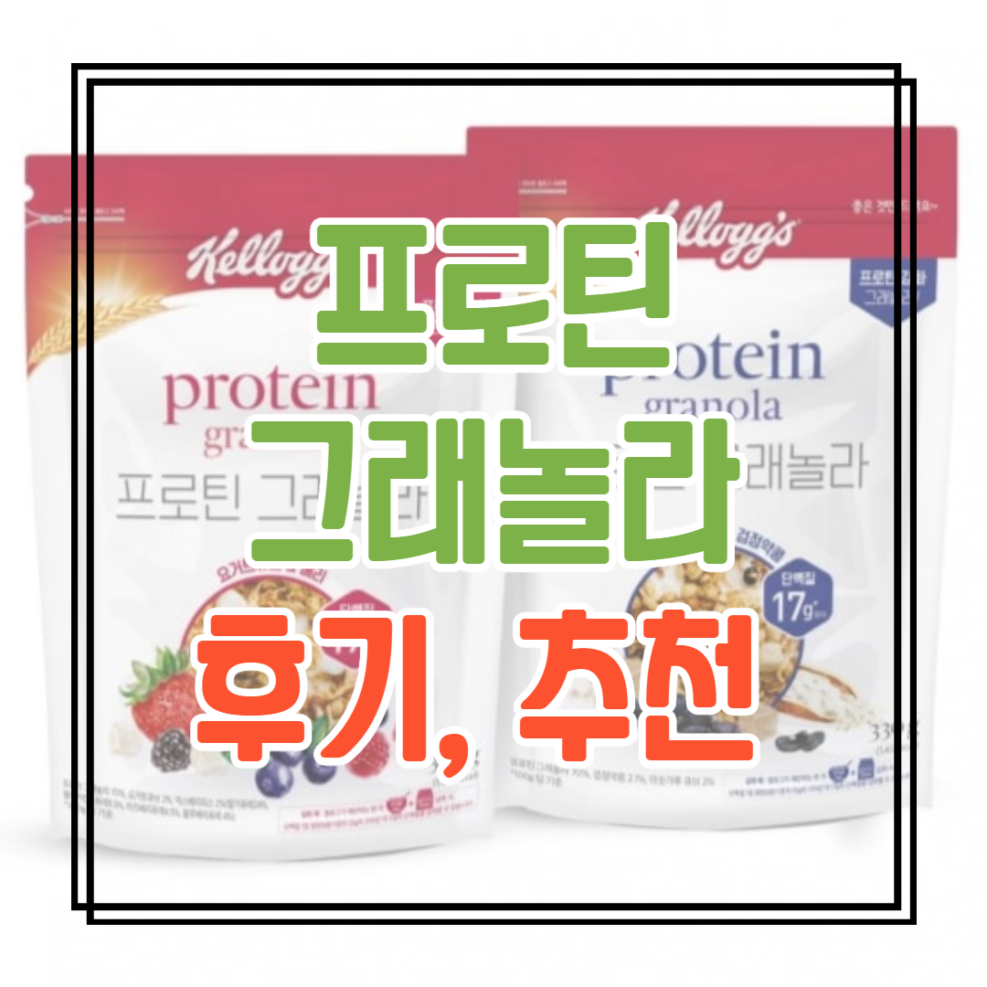  단백질 많은 시리얼 추천, 켈로그 프로틴 그래놀라