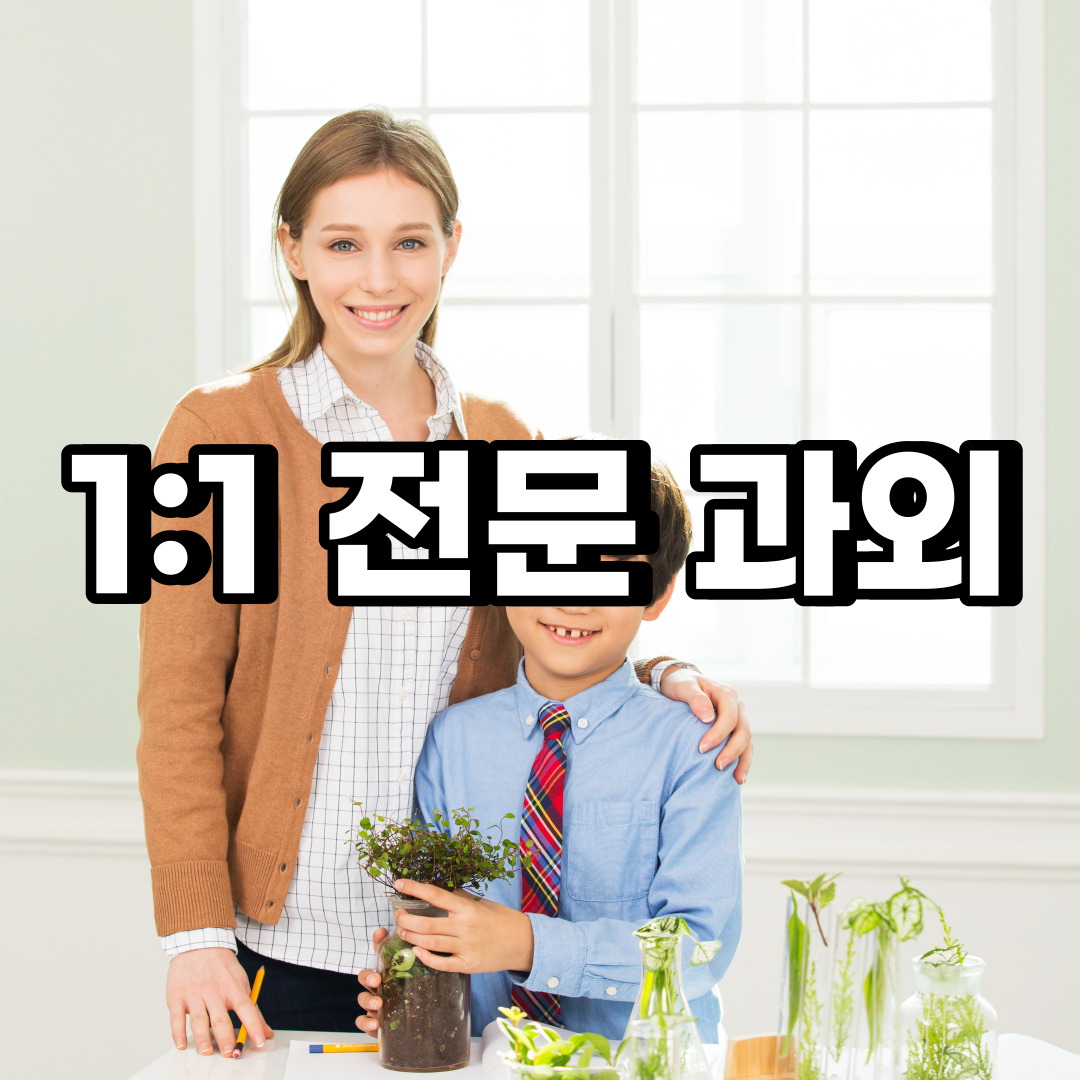  제천 초등 영어과외 보은 옥천 중학생 중등 고등 국어 수학과외