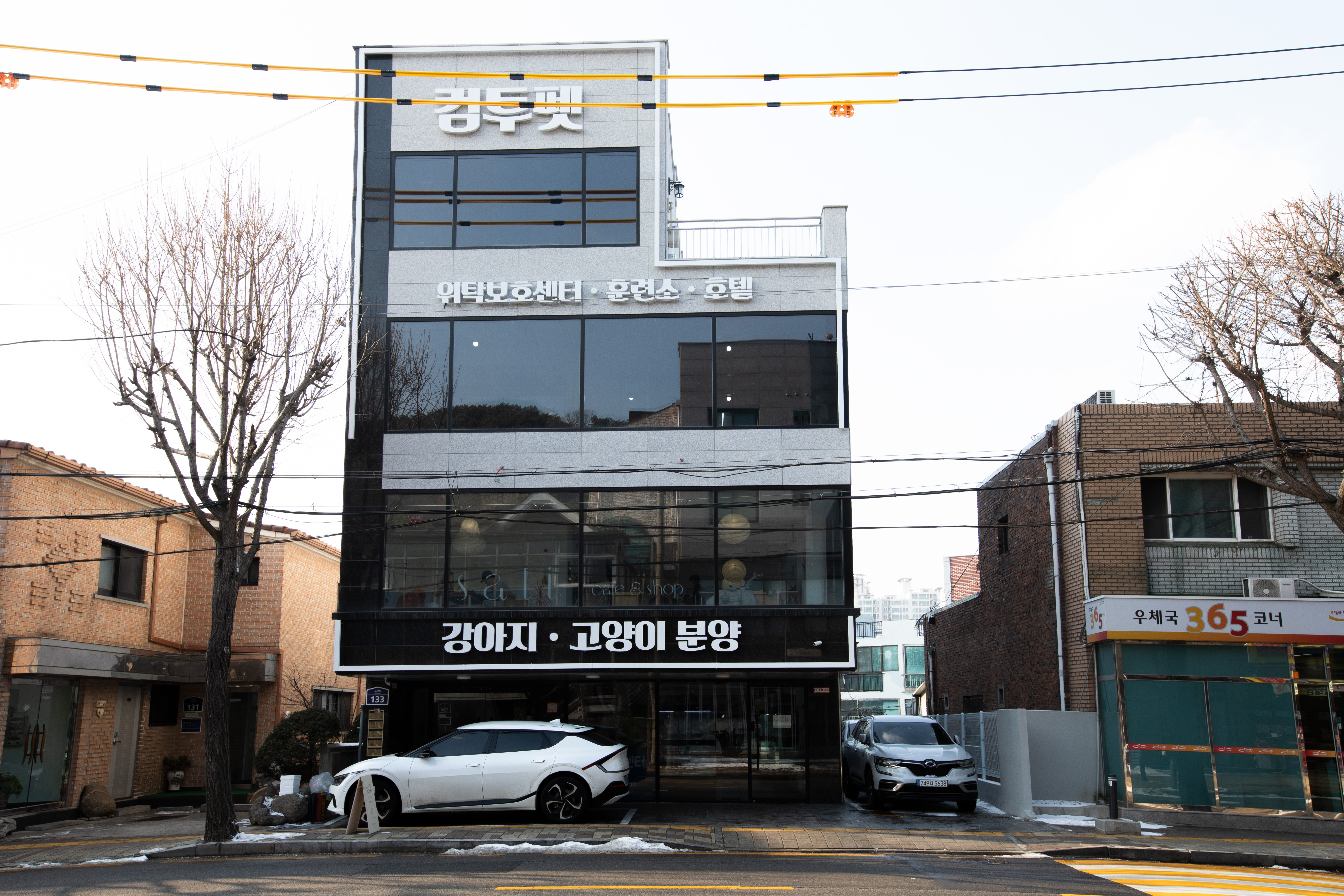  수원강아지호텔 / 수원고양이호텔 마음 편하게 아이들을 맡기세요!