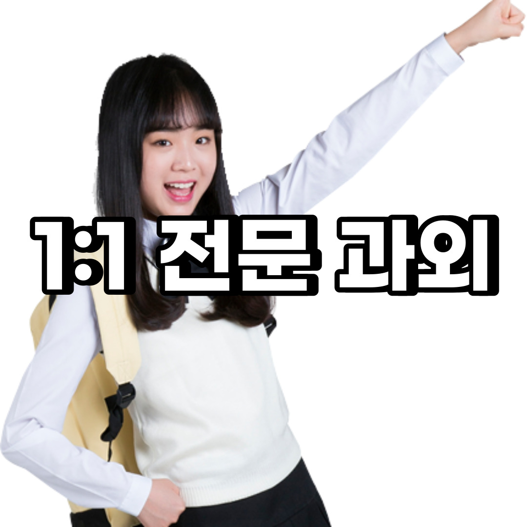  중구 초등 영어과외 명동 남산동  중학생 중등 고등 국어 수학과외