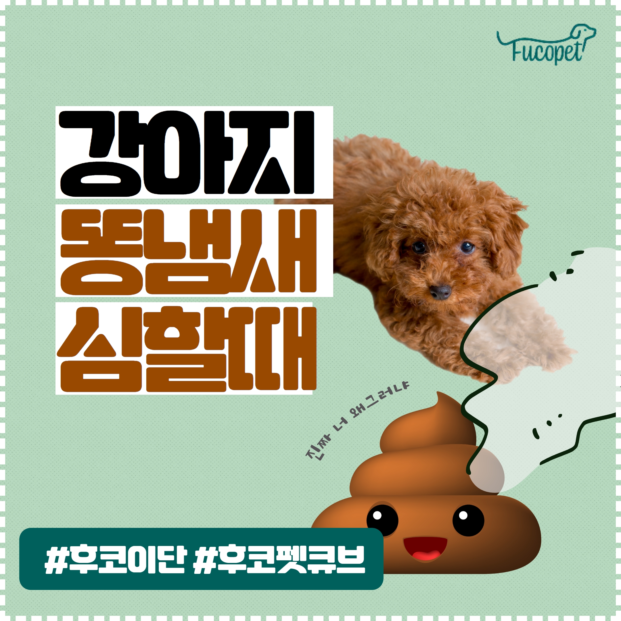  강아지 똥냄새 심할때 후코이단 후코펫큐브