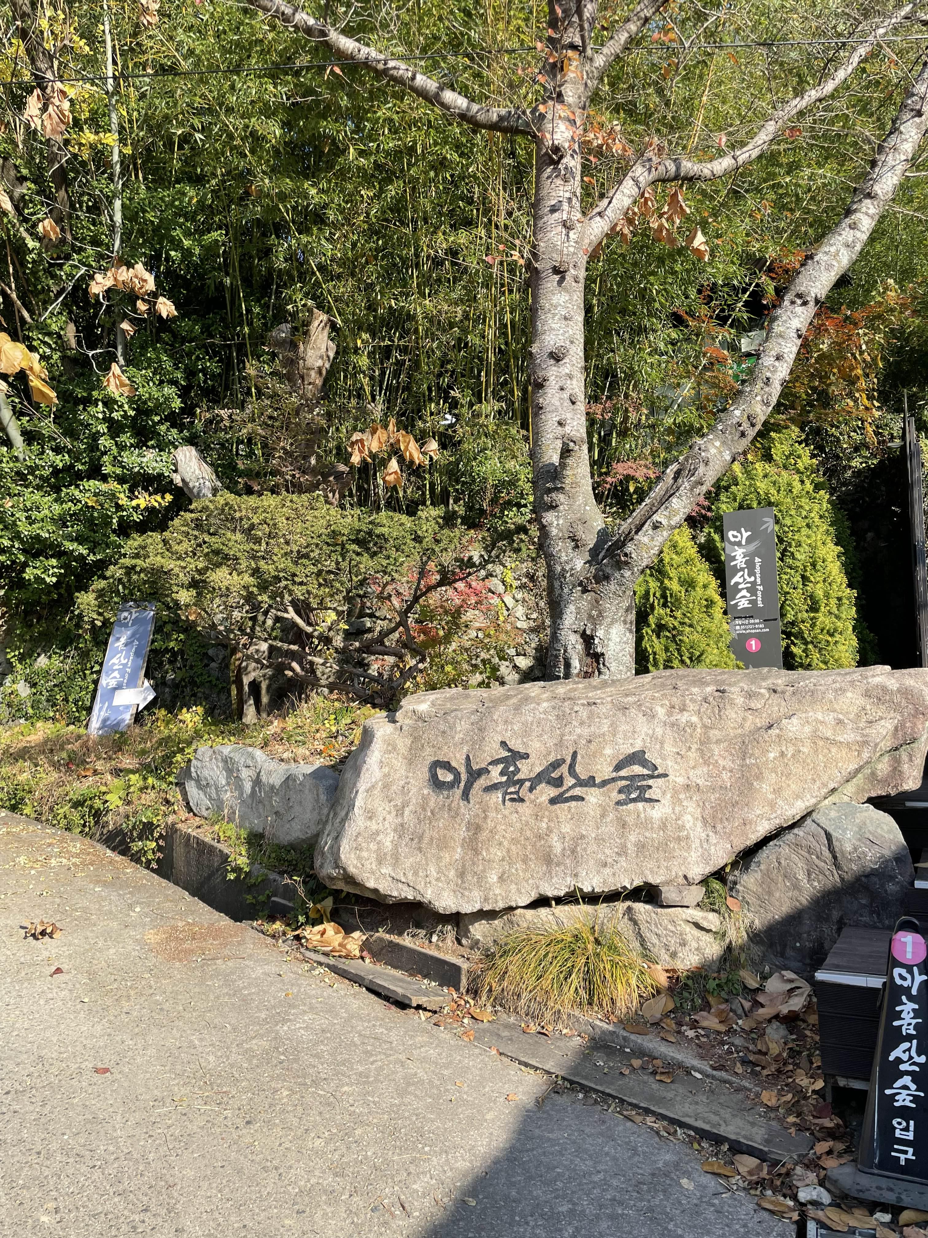  부산 기장 가볼만한 곳 - 아홉산 숲