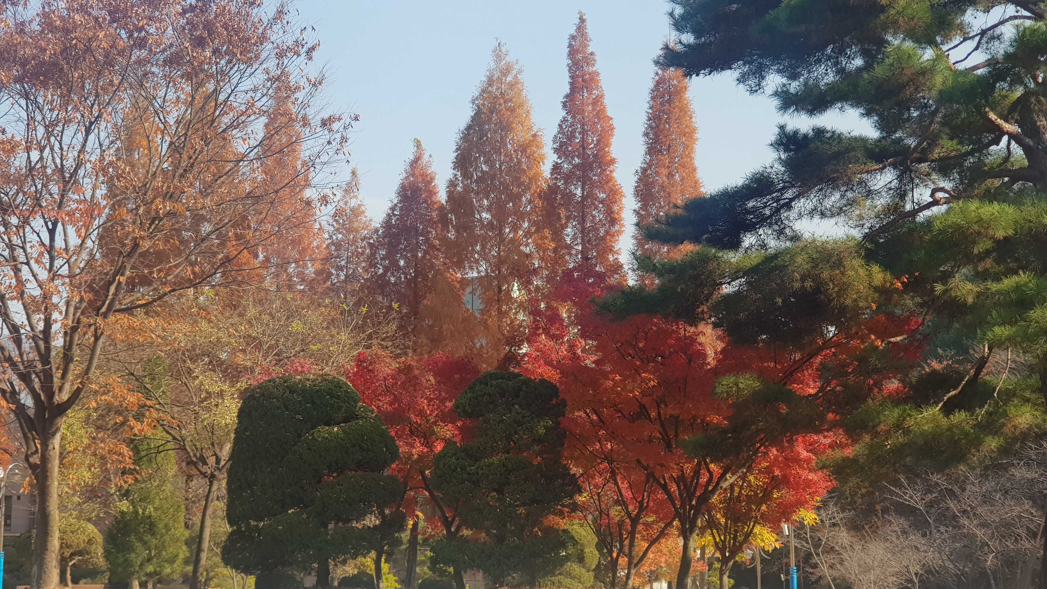  제법 쌀쌀해진 바람...