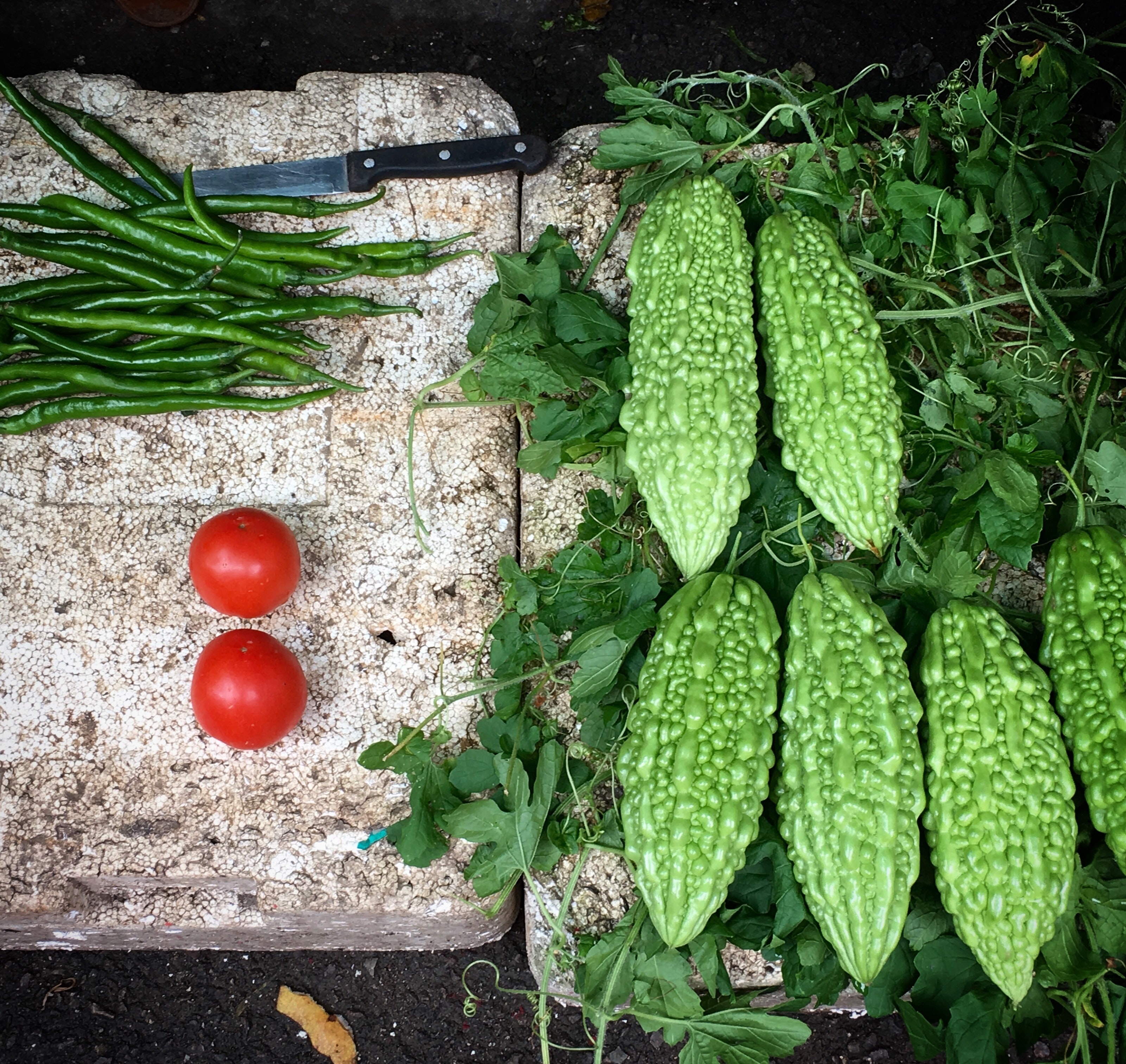 How Does Bitter Melon Affect Blood Sugar?