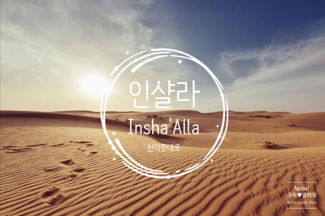 Abu Dhabi Life 새로운 시작