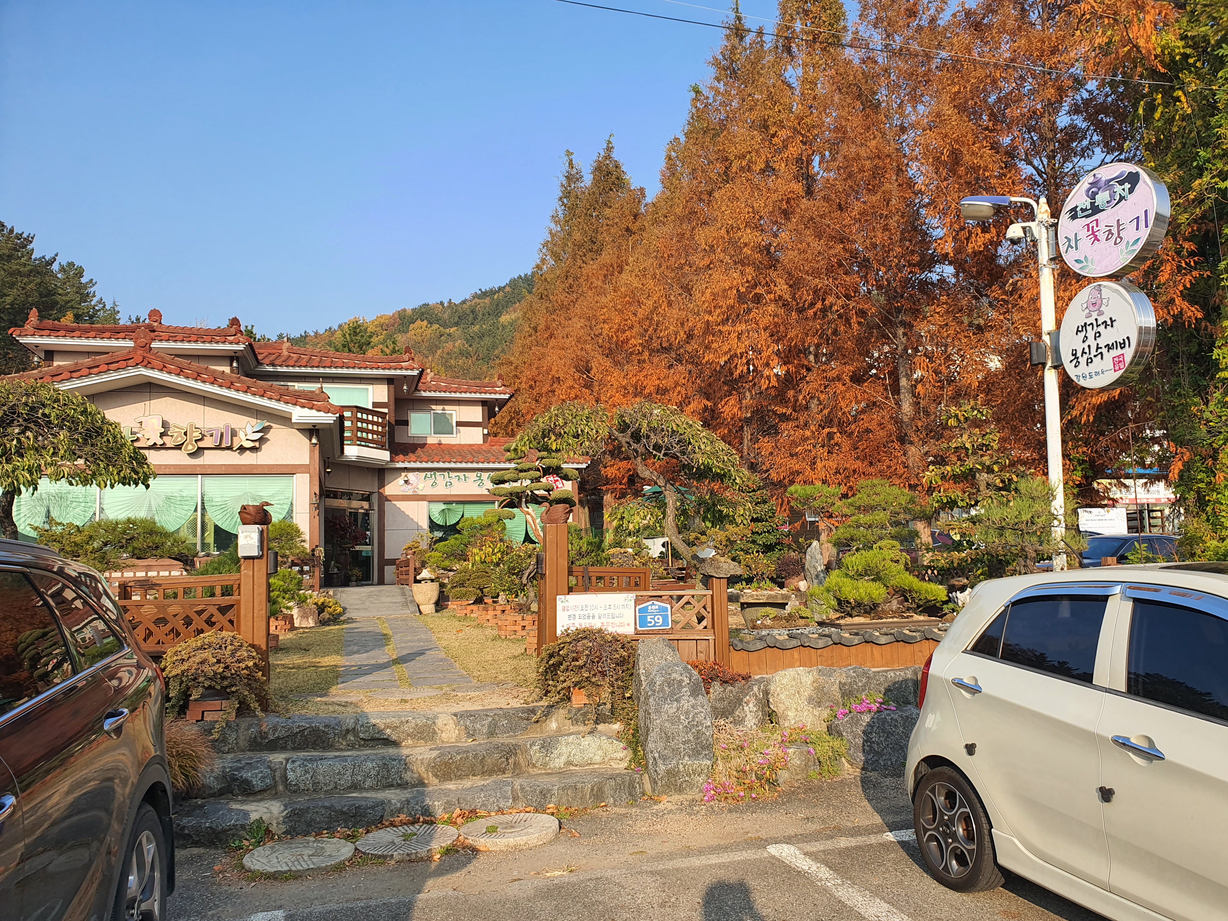  [창녕맛집]차꽃향기 옹심이수제비
