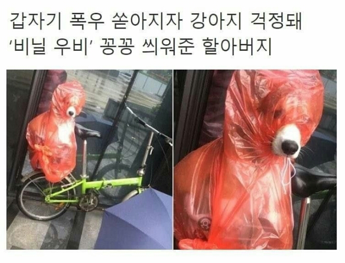  비와도 걱정없는 멋쟁이 레인코트 20가지