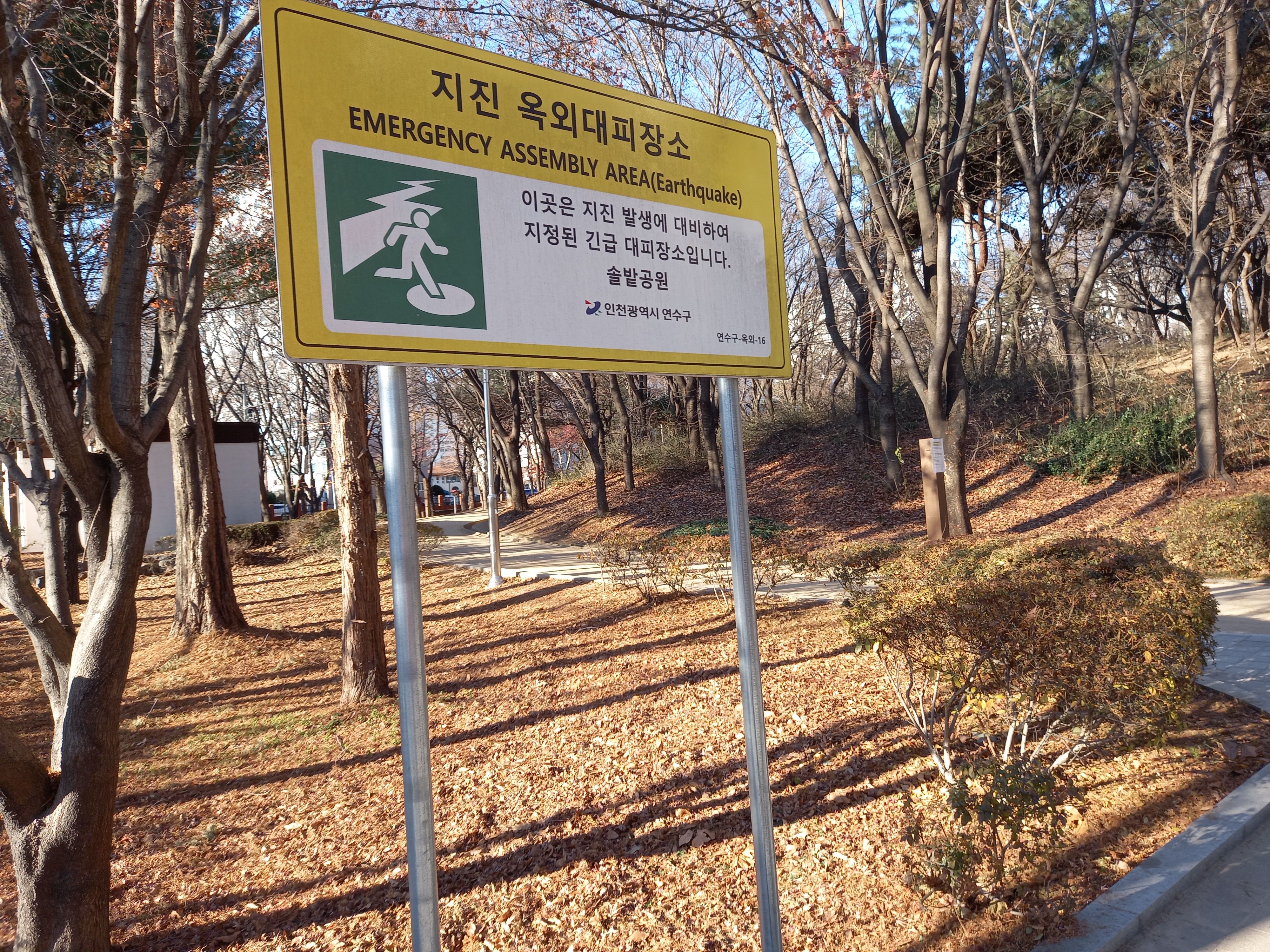  인천광역시 연수구 신연수역 근처의 솔밭공원 사진입니다.