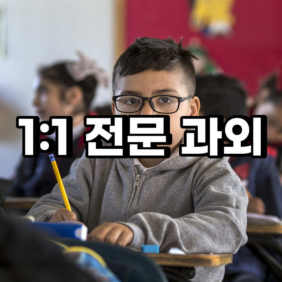  중구 초등 영어과외 주자동 예장동  중학생 중등 고등 국어 수학과외