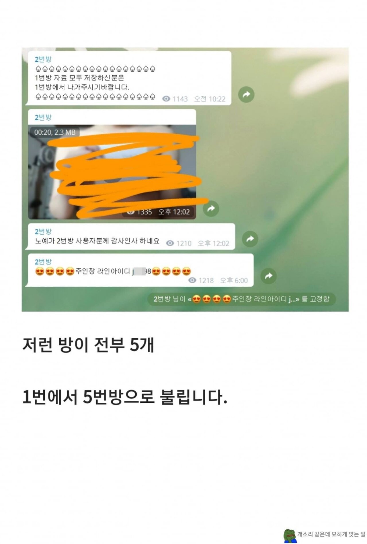 8번방 임여은 artistbak 