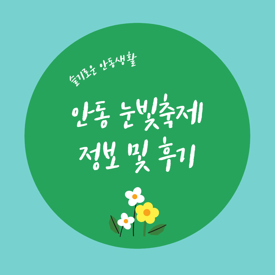  [축제] 안동 눈빛축제 정보 및 후기