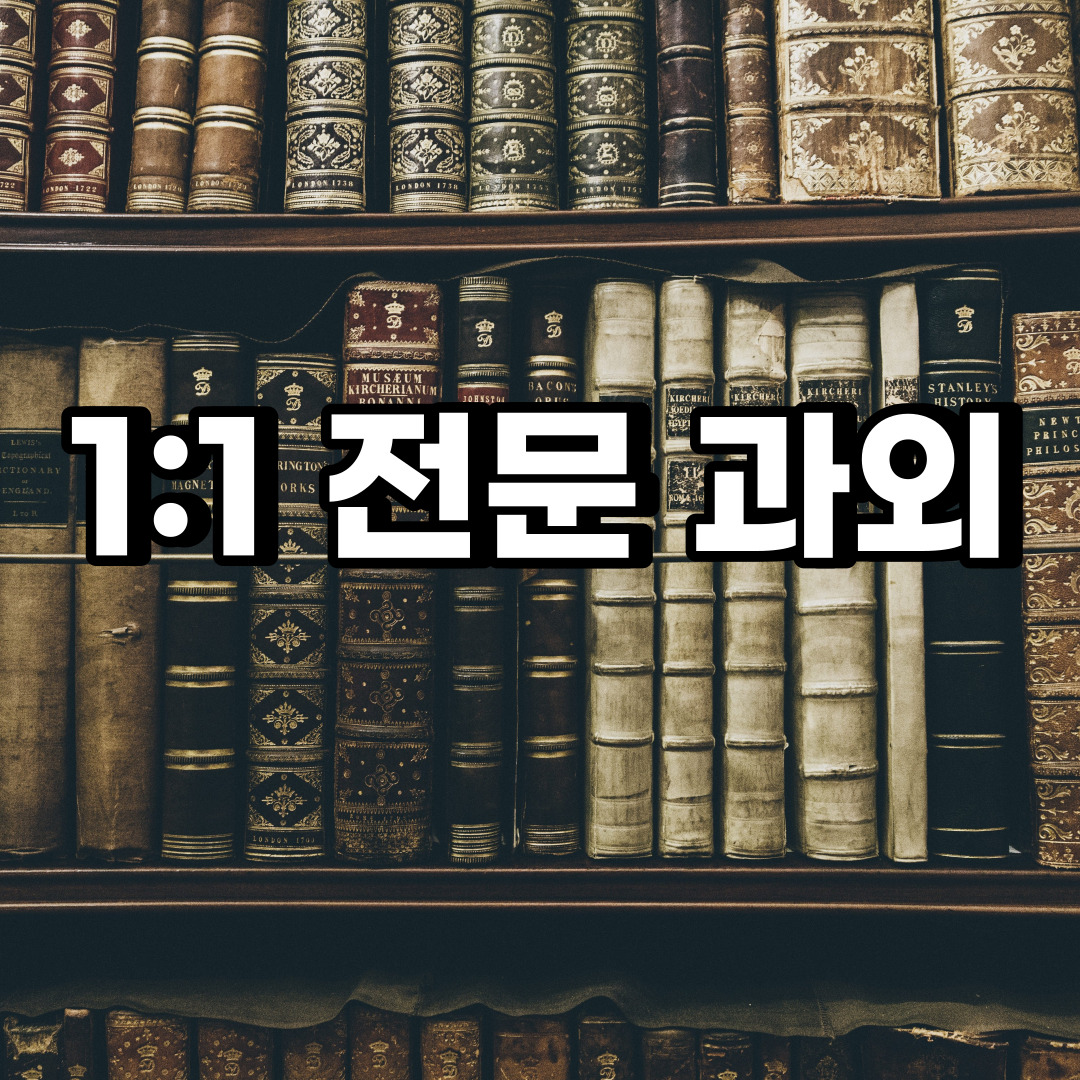  덕양구 초등 영어과외 내유동 토당동 중등 고등 국어 수학과외 검정고시