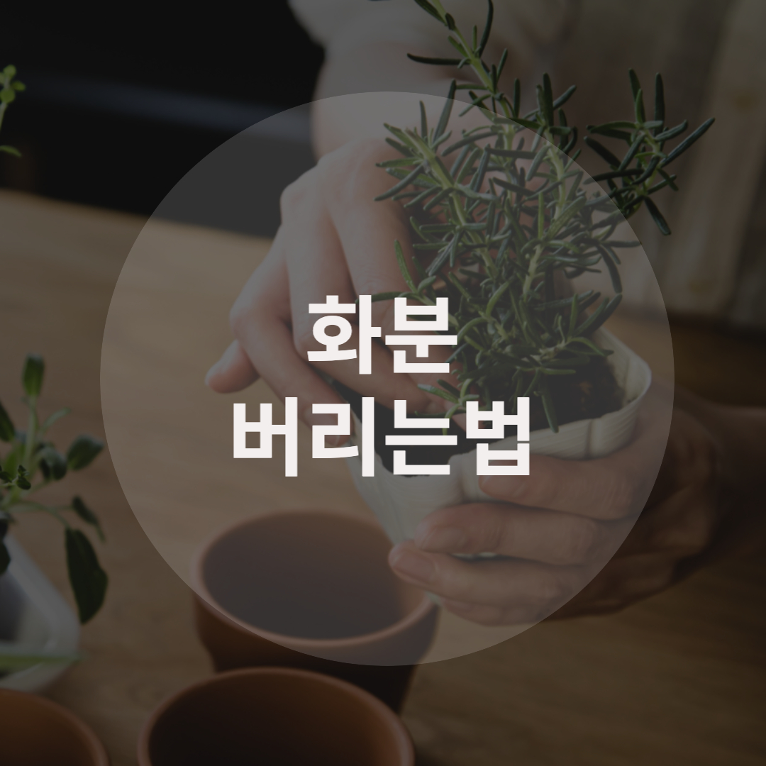  화분 버리는법, 제대로 알고 버리자!