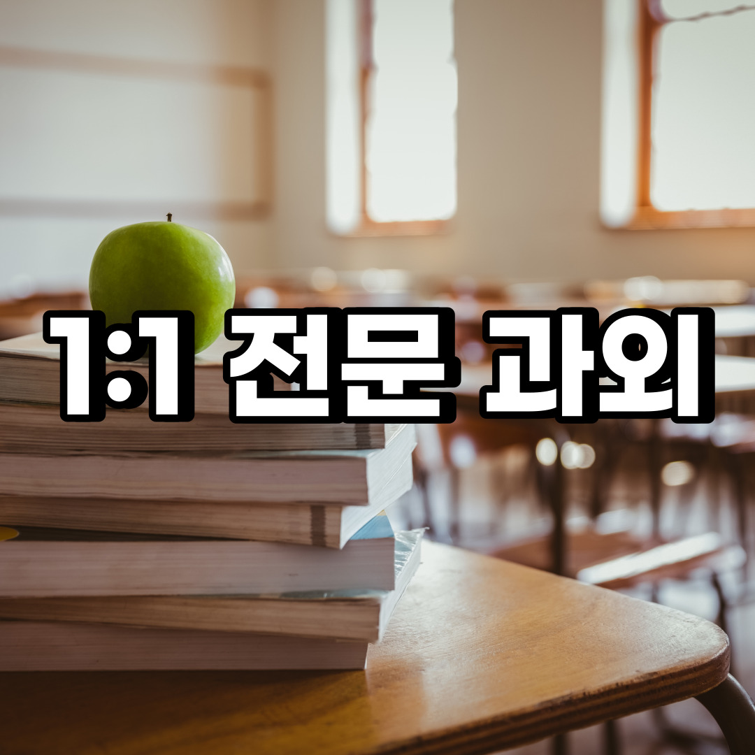 성동구 초등 영어과외 성수동 송정동 중학생 중등 고등 국어 수학과외