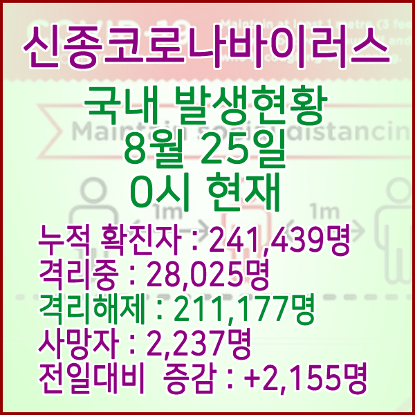  코로나19(코로나바이러스) 8월 25일 0시 국내(해외포함) 발병 241,439명 / 211,177명 완치 격리해제 / 사망자 2,237명