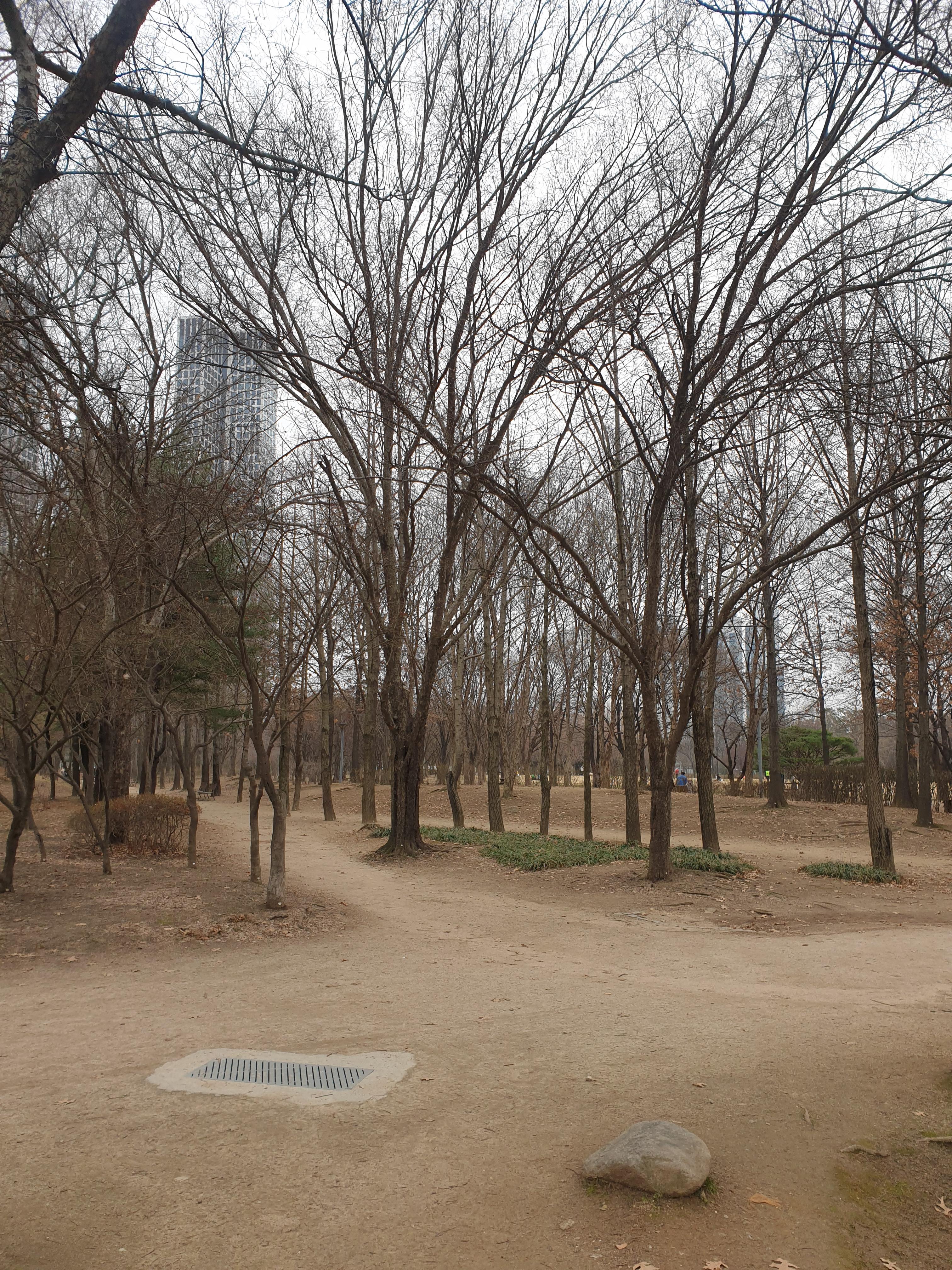  서울숲