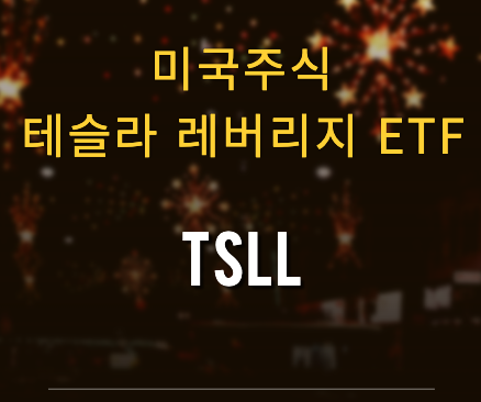  미국주식 테슬라 레버리지 ETF Direxion Daily TSLA Bull 1.5X Shares (TSLL)
