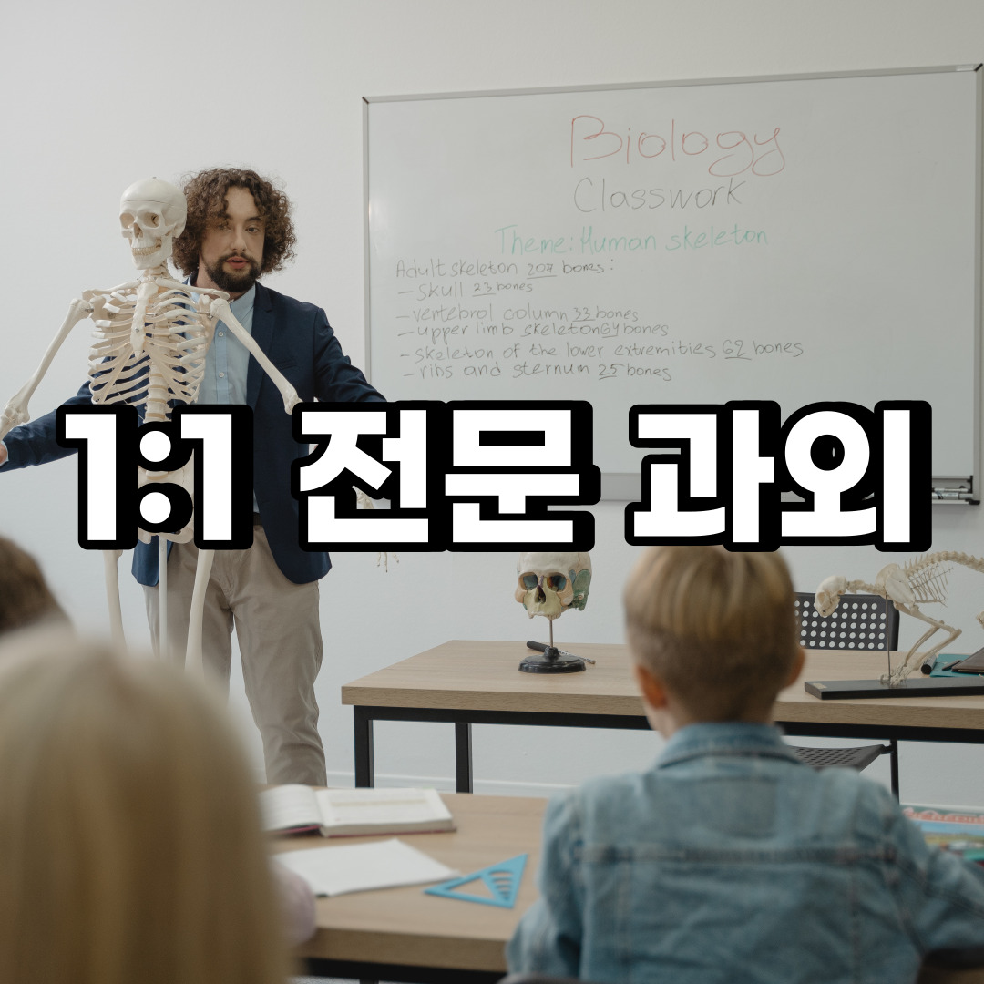  부산사하구 초등 영어과외 긍정구 강서구 중학생 중등 고등 국어 수학과외