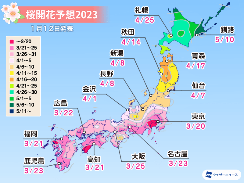 2023 일본 지역별 벚꽃 개화시기(도쿄 3월 20일)