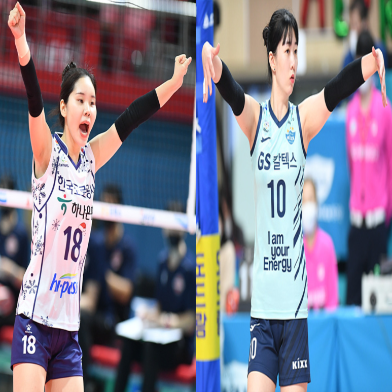  여자배구 도로공사 GS칼텍스 12월19일 경기예상(도공 8연승도전, 켈시, 박정아, 이윤정, 모마, 강소휘, 유서연)