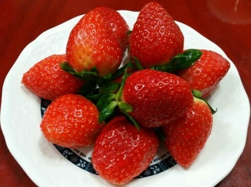 1분 생활상식 겨울철 딸기의 가지 효능 과연 무엇이 있을까요? What are the benefits of strawberries in winter?