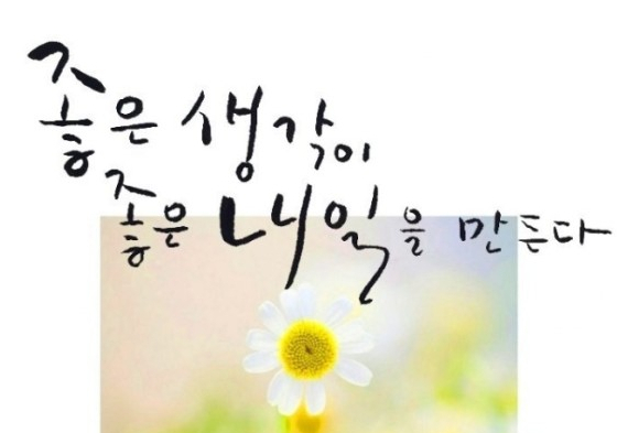  267번째 선물 - 긍정적인 생각의 씨앗을 뿌려라.