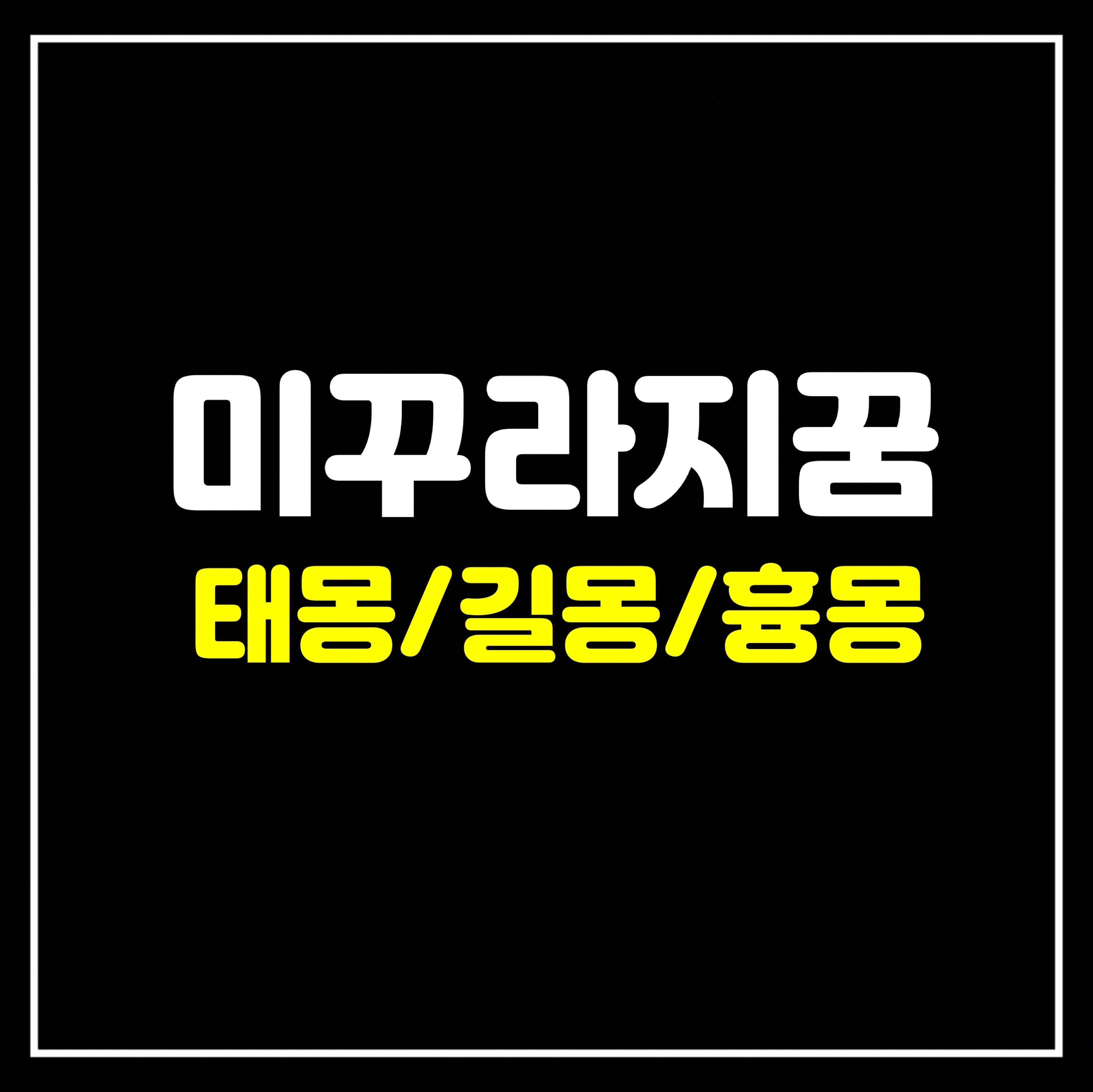  [어패류꿈] 미꾸라지 나오는 꿈은 어떤 의미일까? 태몽/길몽/흉몽 총정리
