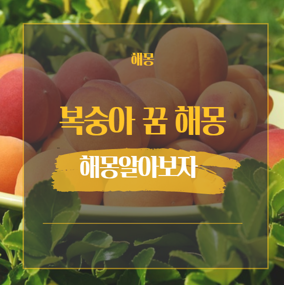  복숭아 꿈 해몽 정리 23가지