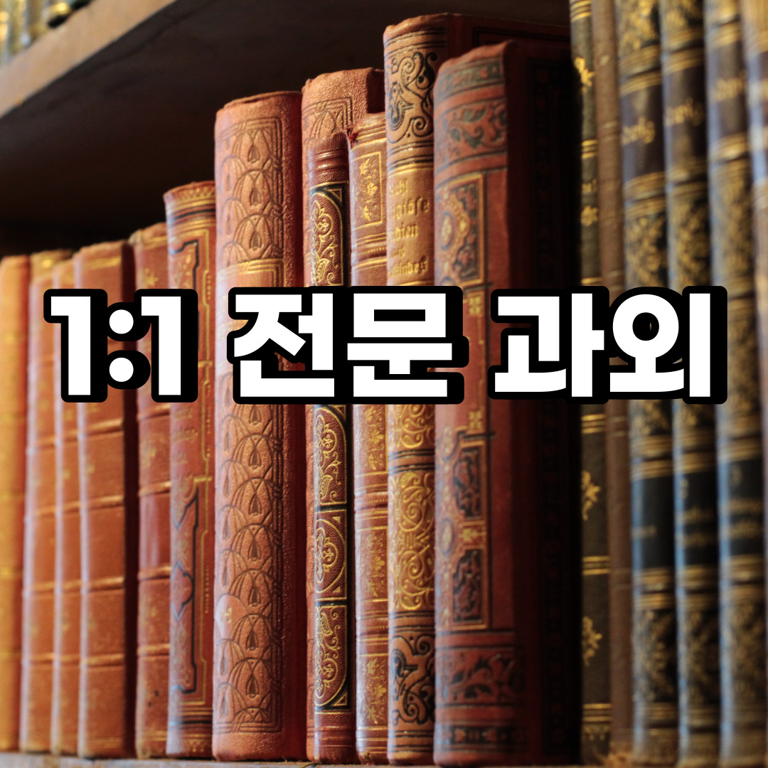 일산동구 초등 영어과외 사리현동 지영동 중등 고등 국어 수학과외 검정고시