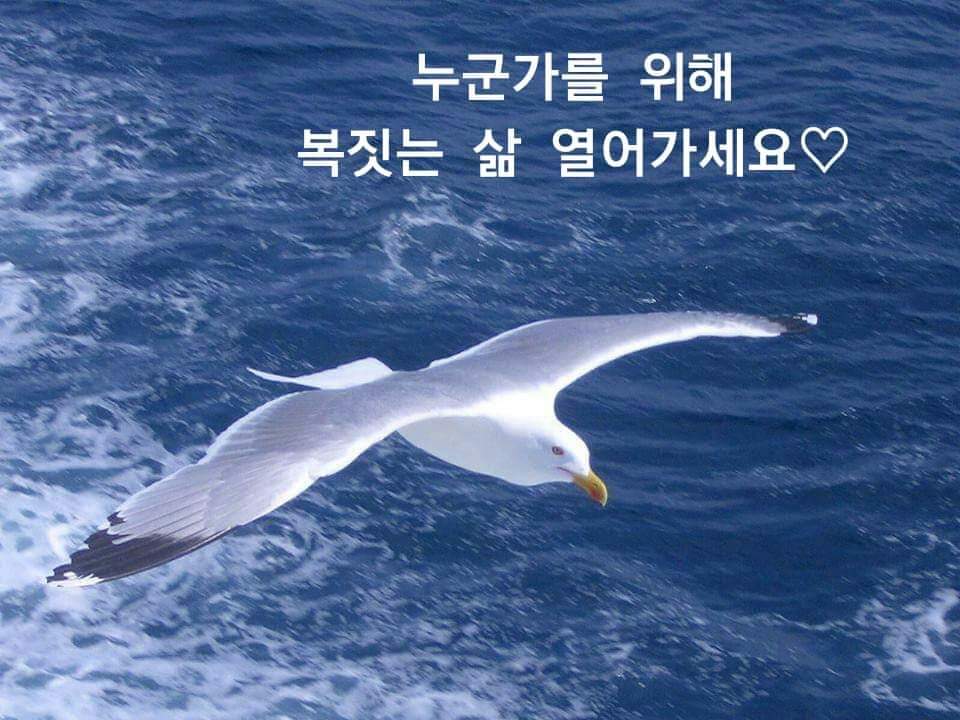  오늘의 좋은글 176번째