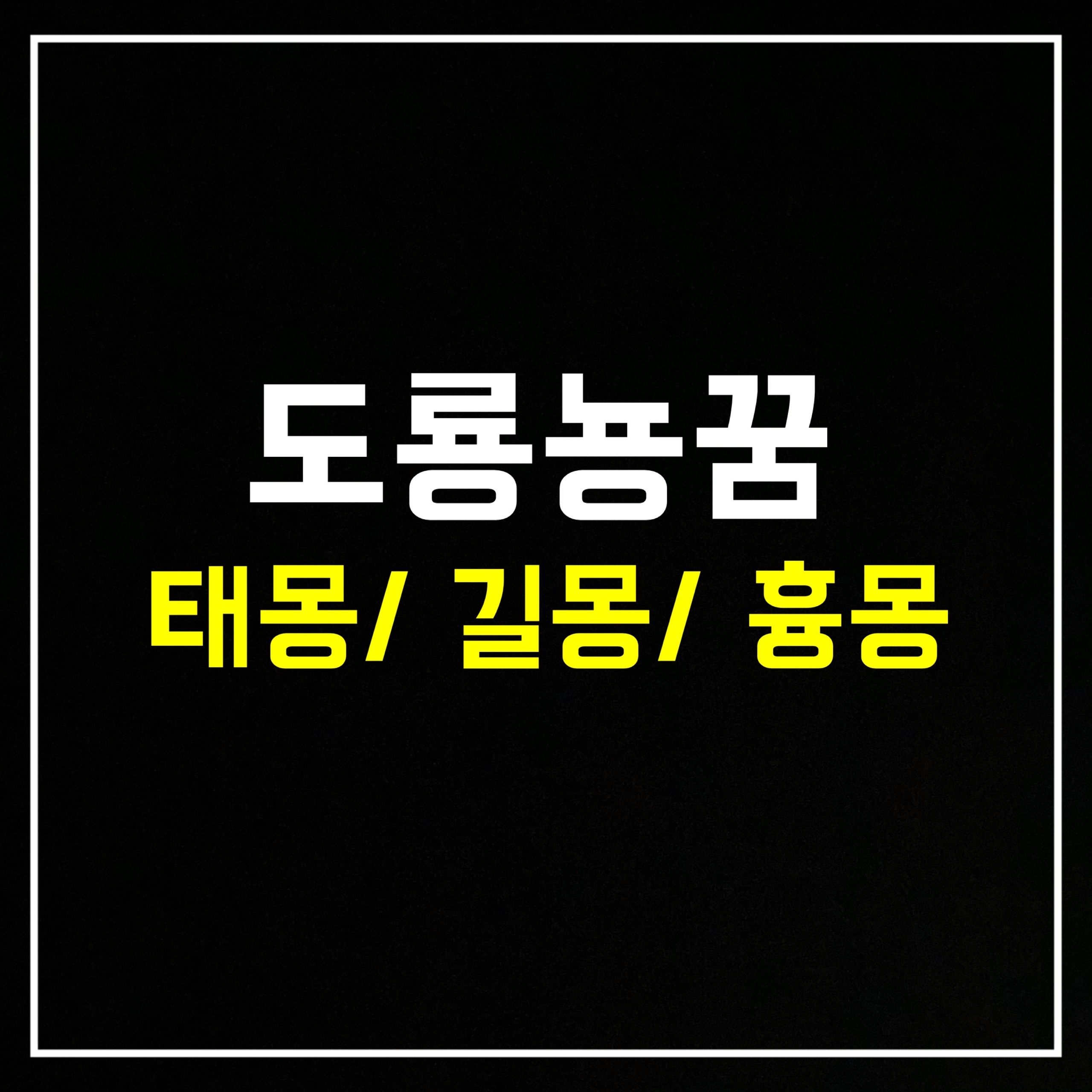  [동물꿈] 도롱뇽꿈은 어떤 의미일까? 태몽/길몽/흉몽 총정리
