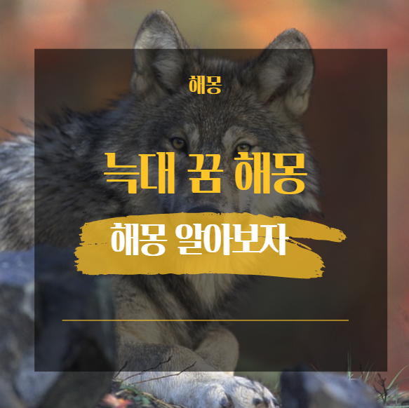  늑대 꿈 해몽 모음 22가지 [ 싸우는 들어가는 짖는 우는 등 ]