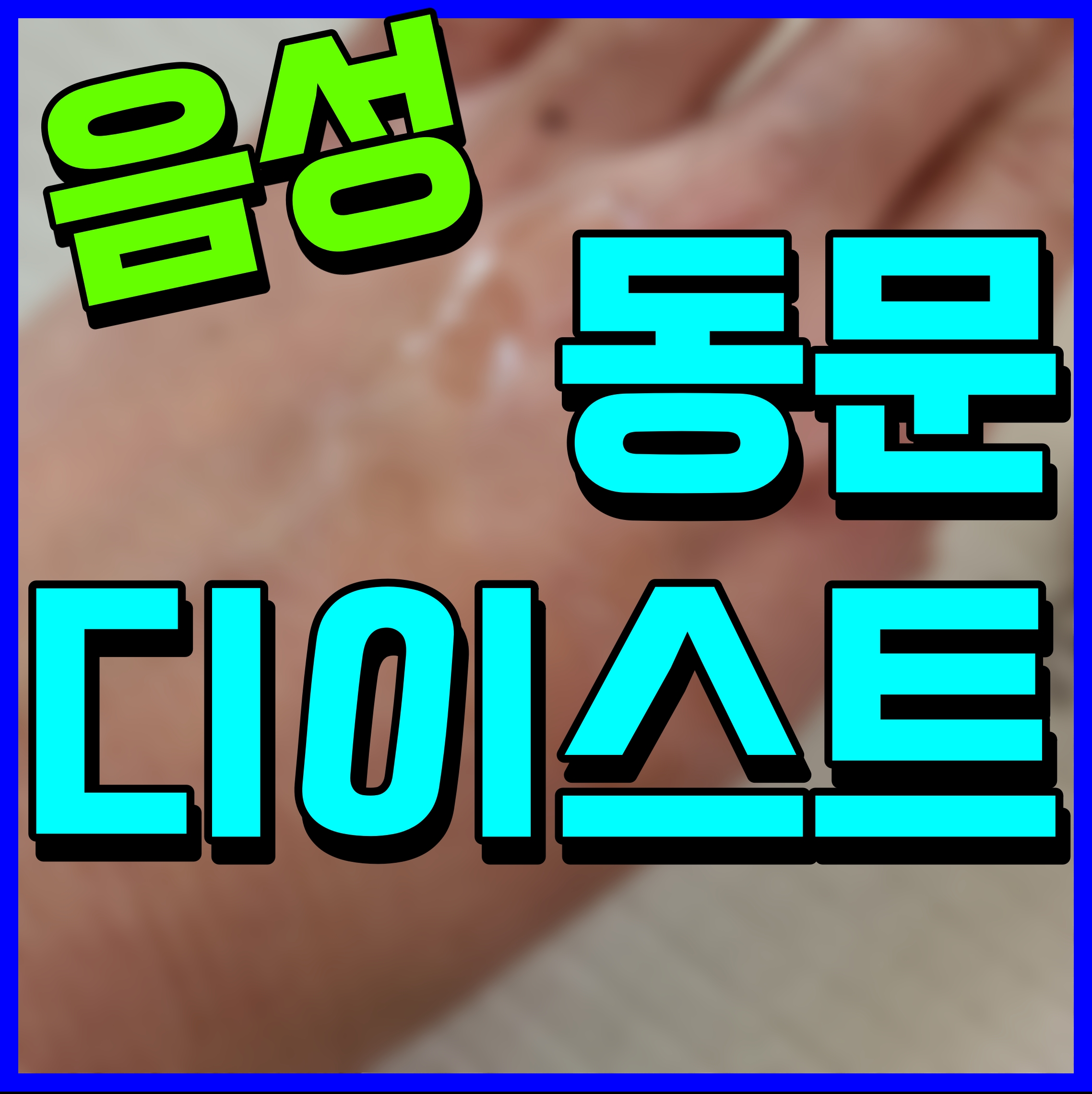  음성 동문 디이스트 아파트 모델하우스 정보