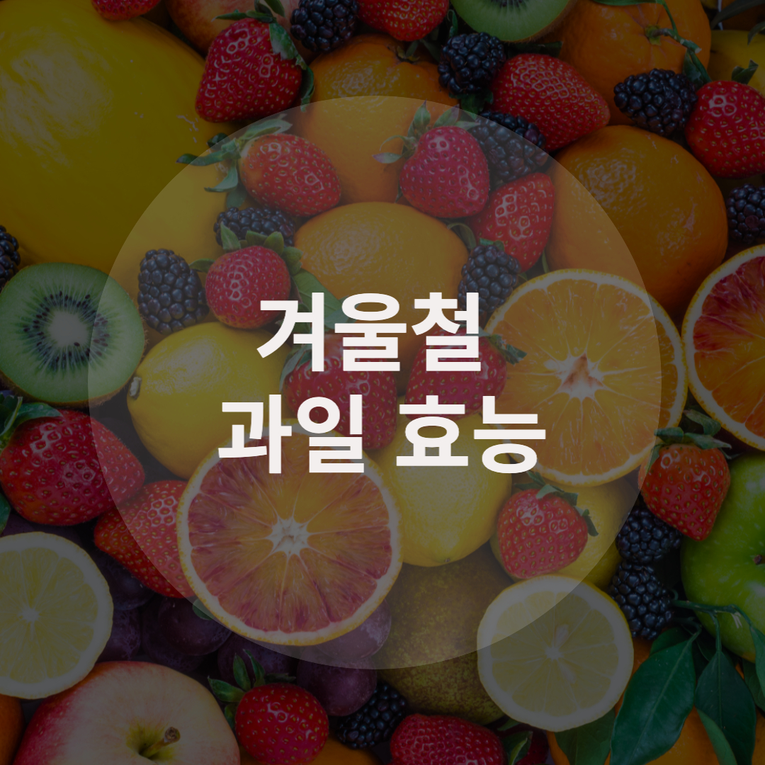  겨울철 과일 효능 알아보자