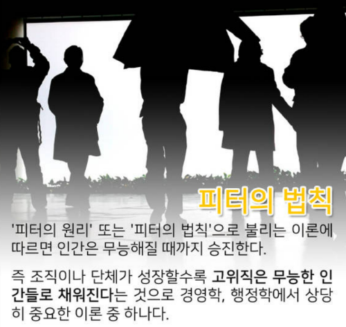  [피터의 법칙] 왜? 주변에 무능해 보이는 리더들이 많을까?