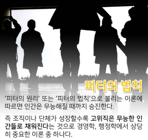 [피터의 법칙] 왜? 주변에 무능해 보이는 리더들이 많을까?